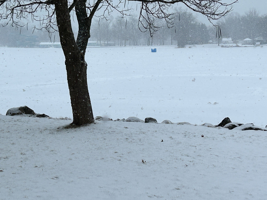 Brrr! -5°F and Counting: Keeping Skin Soft Through the Cold